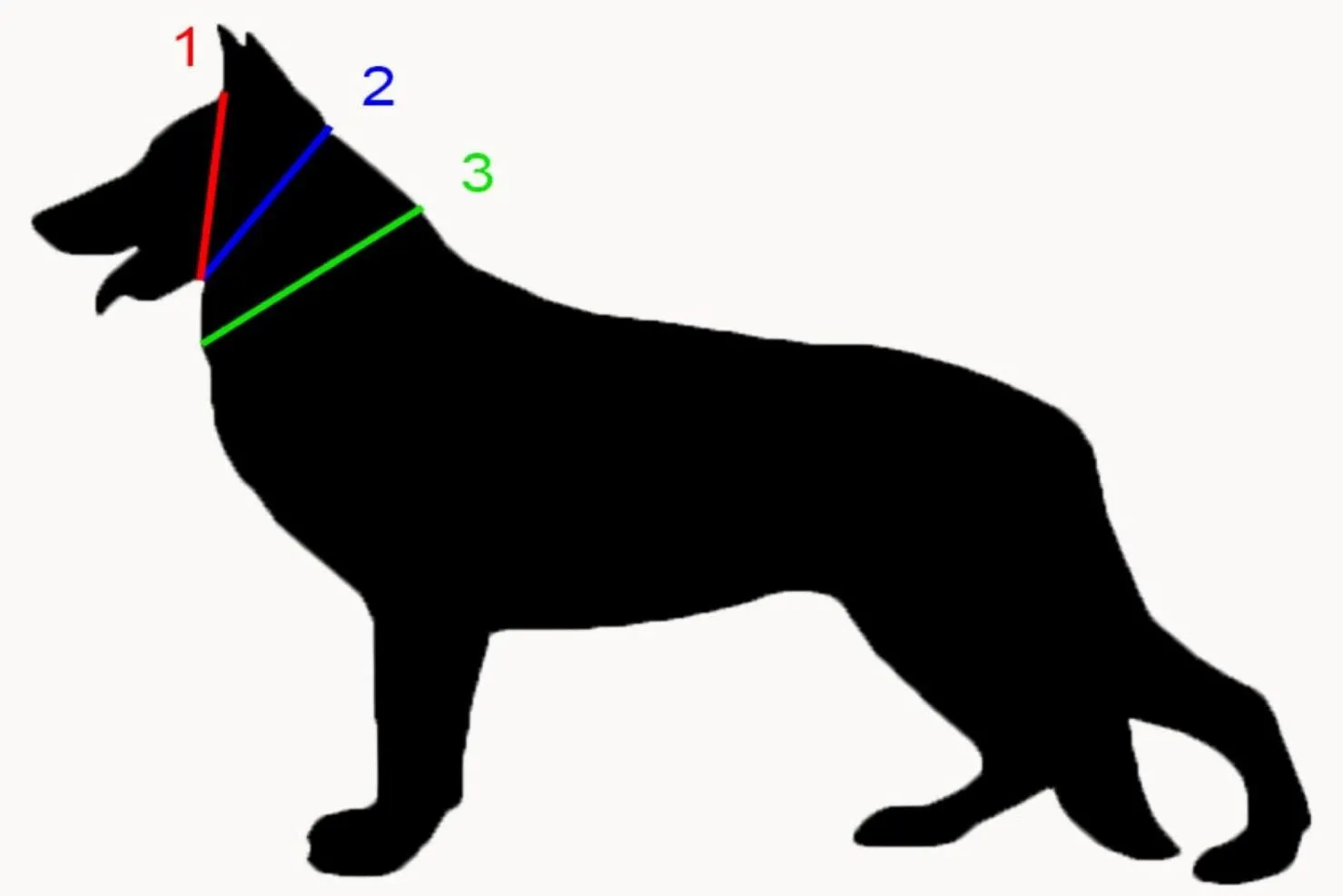 BioThane MiniBling Collars