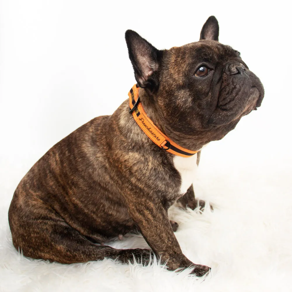 Frenchiestore Breakaway Dog Collar | Orange Pumpkin Varsity