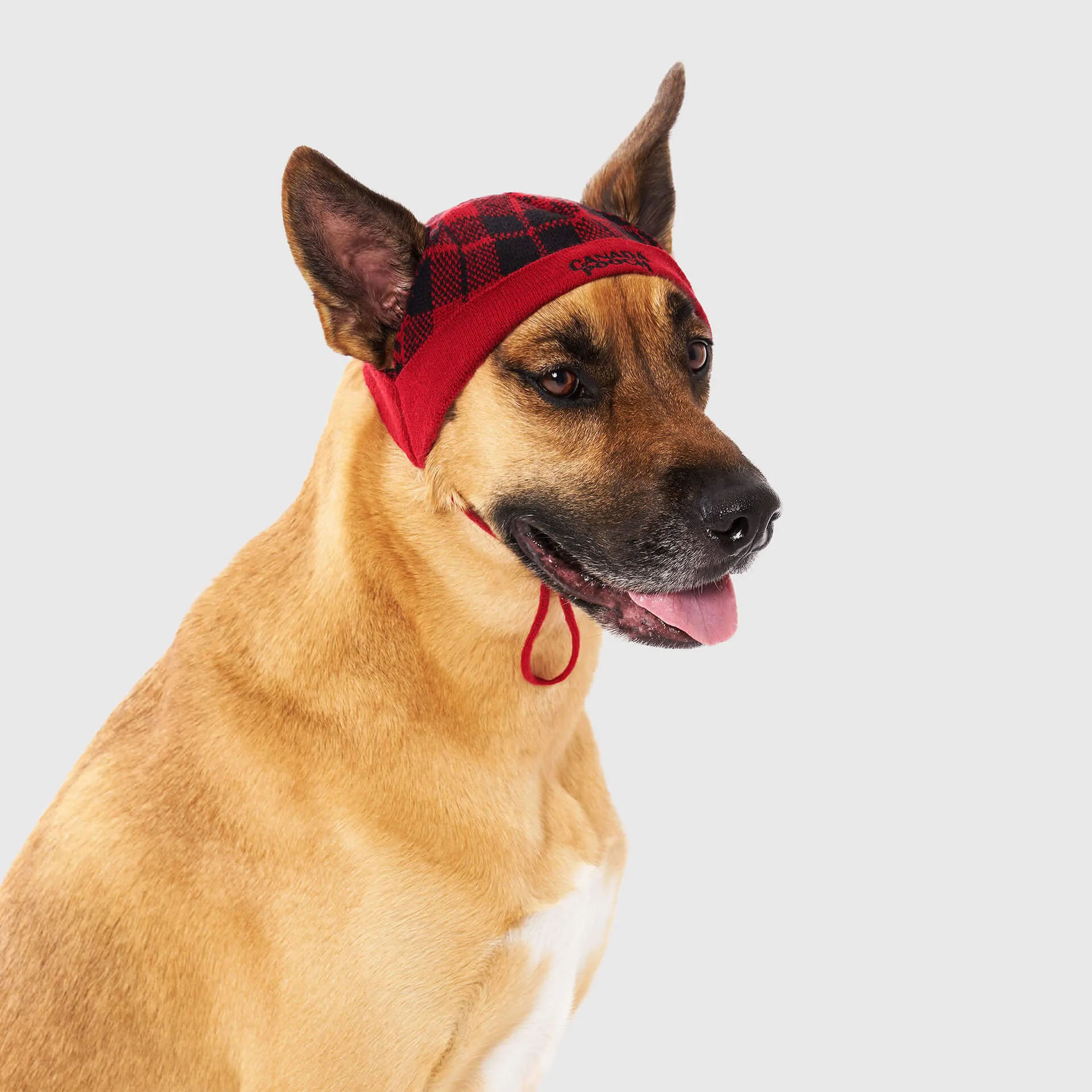 Patterned Beanie